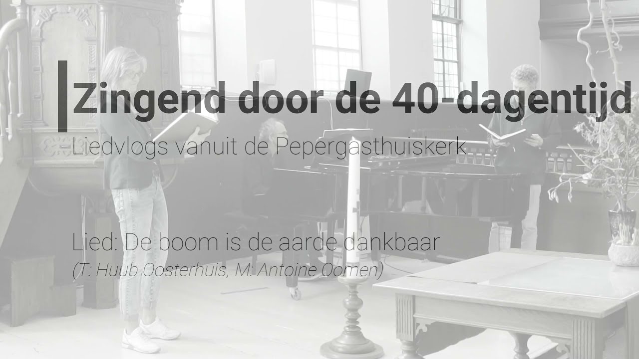 Liedvlogs - De boom is de aarde dankbaar