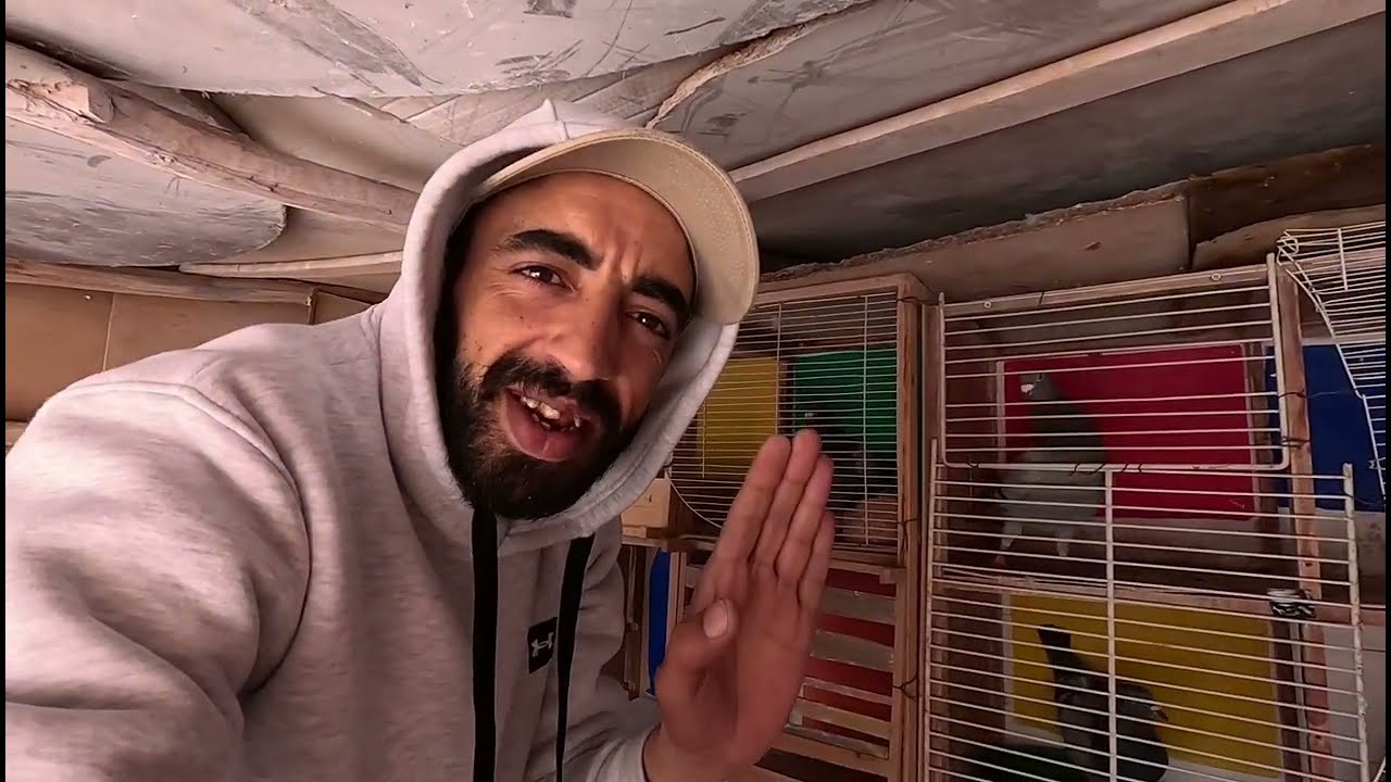 رمضان كريم وكل عام وانتم بالف خير 🥳🫡🚨 (سلالة جديدة)