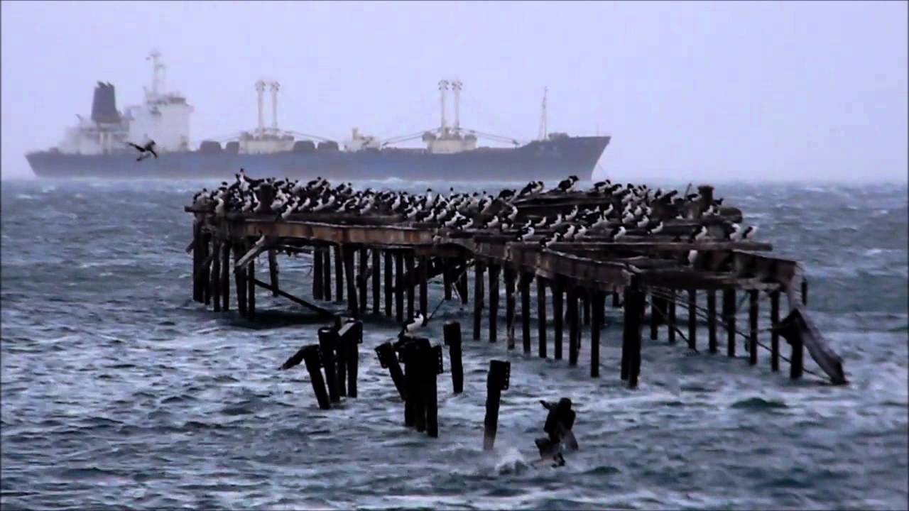 UN DIA DE VIENTO EN PUNTA ARENAS   CHILE