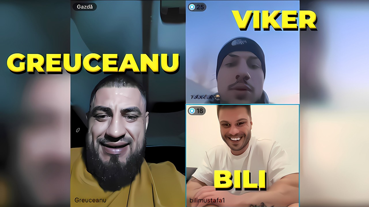GREUCEANU , BILI & VIKER