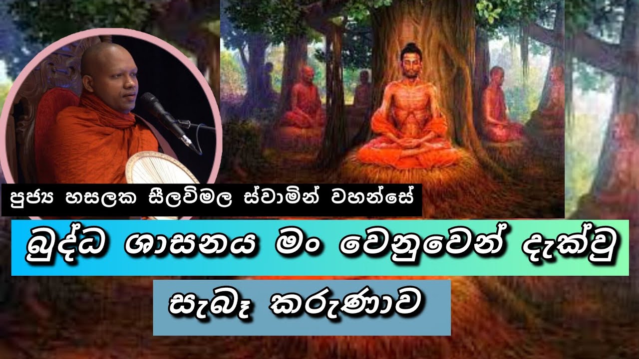 සත්තිස් බෝධිපාක්ෂික ධර්මයන්ට උපකාරවන අර්ථයෙන් |#841බණවර |#revhasalakaseelawimalathero |2026.01.14