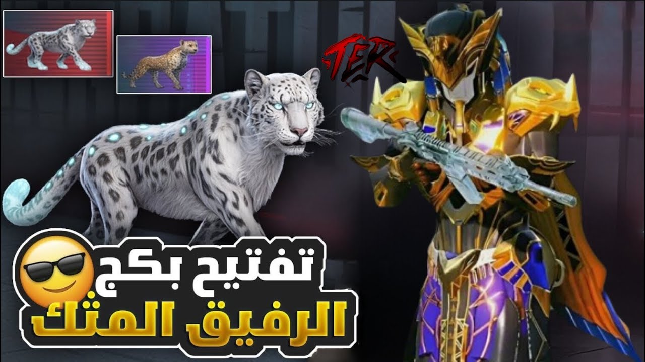 تفتيح بكج النـمر 🐅