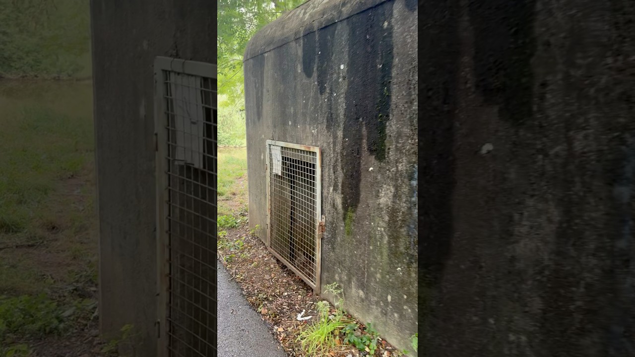 Verlaten bunker