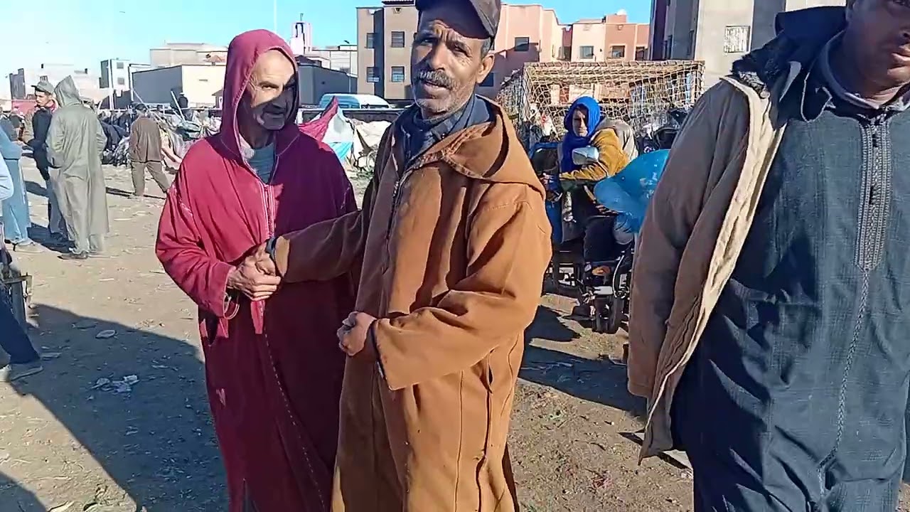 ألله على سوق الأسبوعي الاتنين  قلعة سراغنة بتاريخ اليوم 23\02\2026