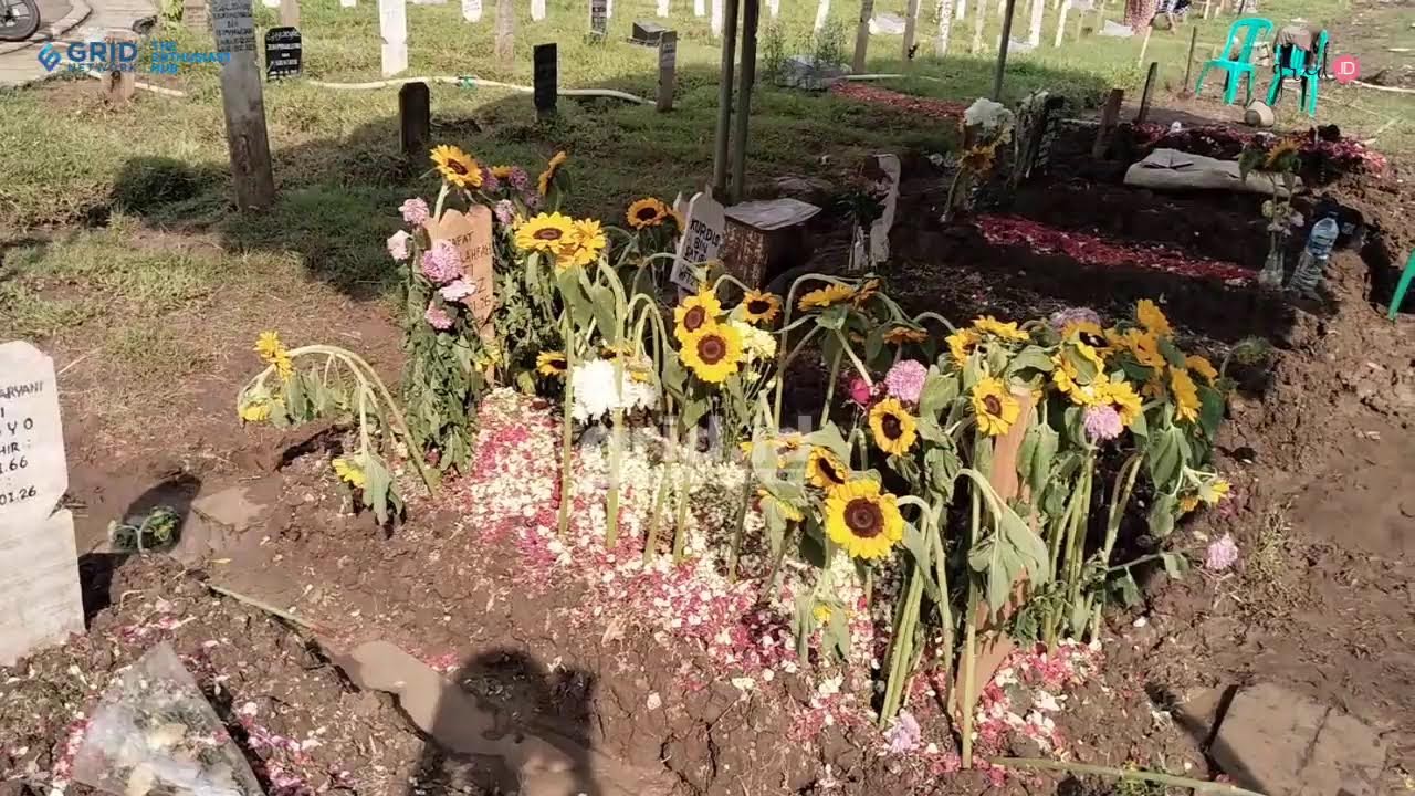 🔴LIVE GRID.ID: Kondisi Makan Lupa Lahfah, Indah Berhias Bunga Matahari