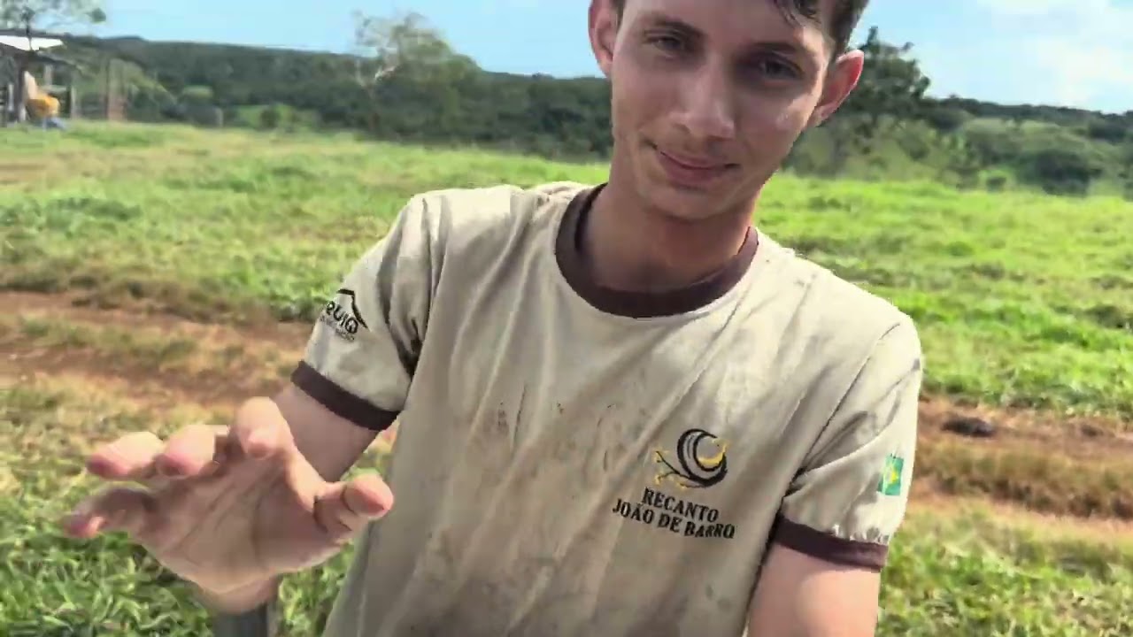 ADUBAÇÃO DO MILHO 🌽