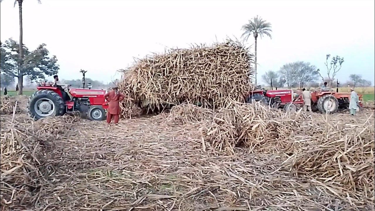 Massey Ferguson 375 