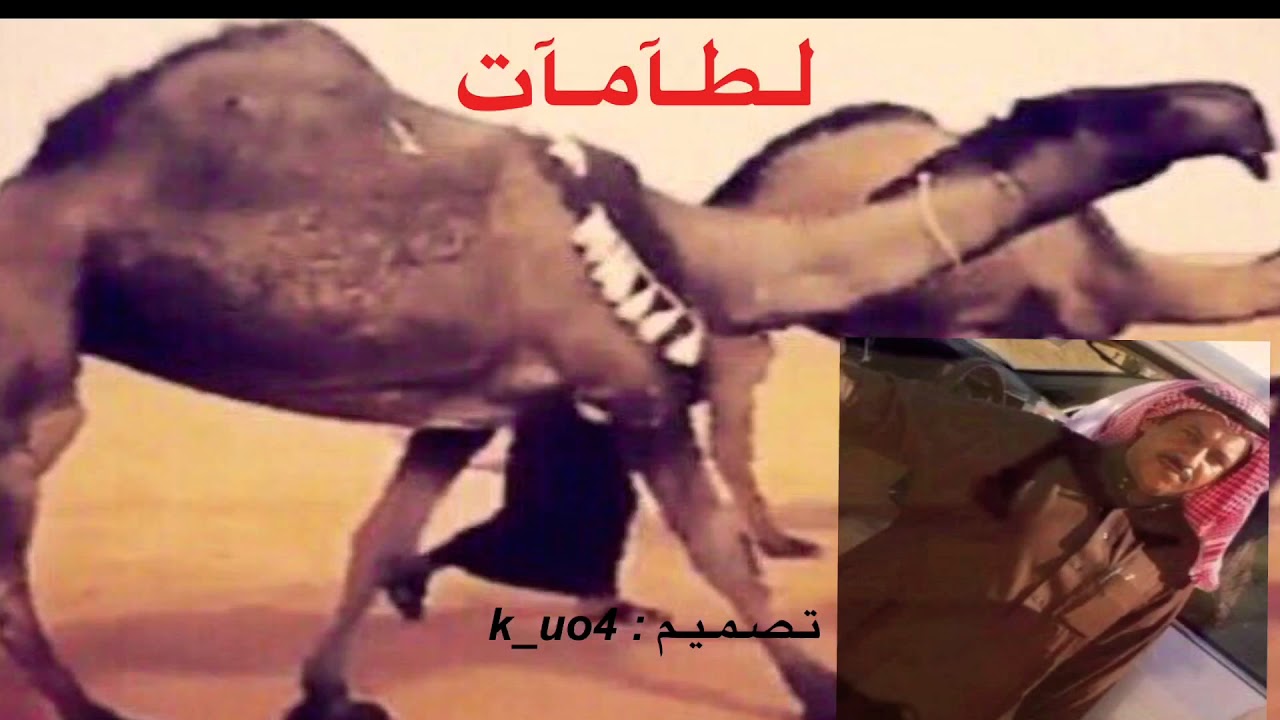 شيلة لطامات: لـ أبناء عايض ابن دغيثر: وان بغيت الكلام اللي عليه الكلام  ‏ماثبت بالجزيره غير عتبانها✨