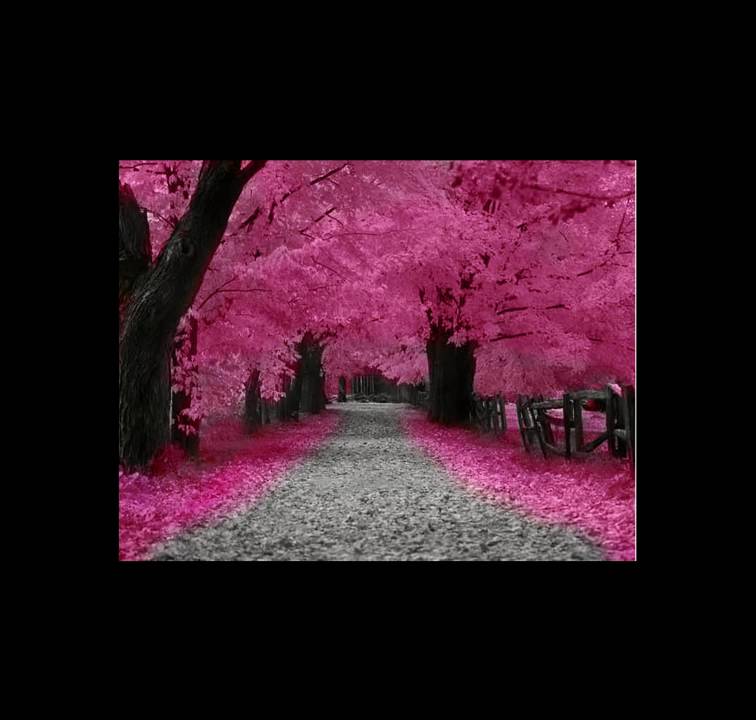 Dejame Decirte - Decai (Te Amo Alex)