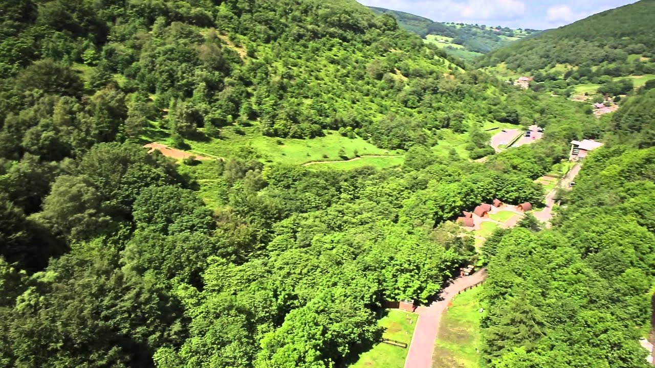 Cwmcarn Forest flythrough