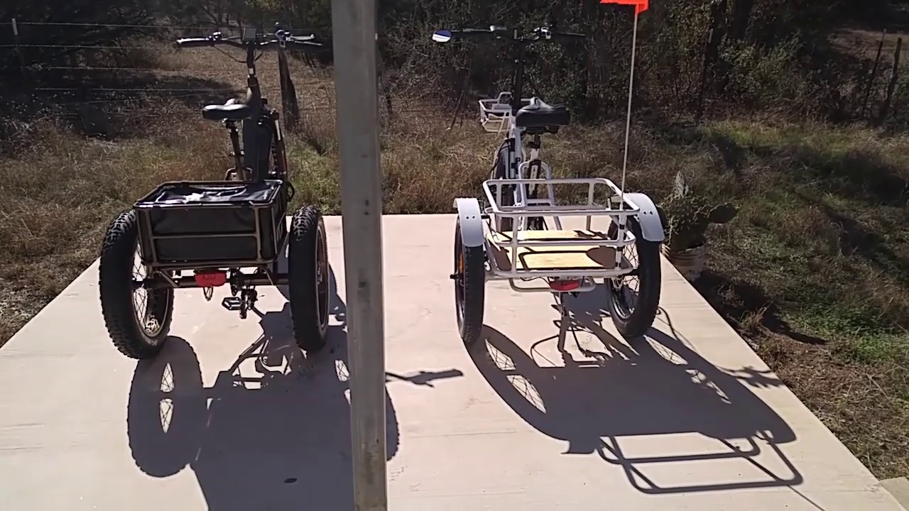 ELECTRIC TRIKES...WHICH ONE SHOULD I BUY???