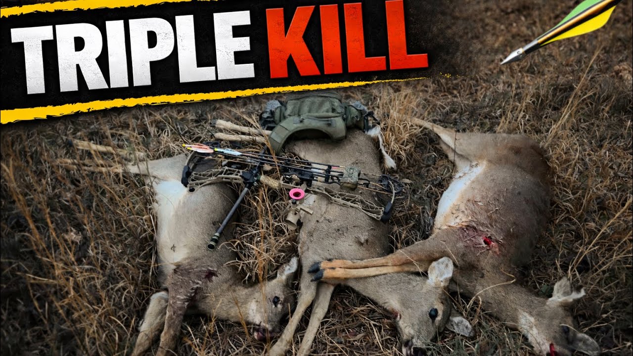 87 yard bow kill! 3 in one hunt Arkansas public land! 