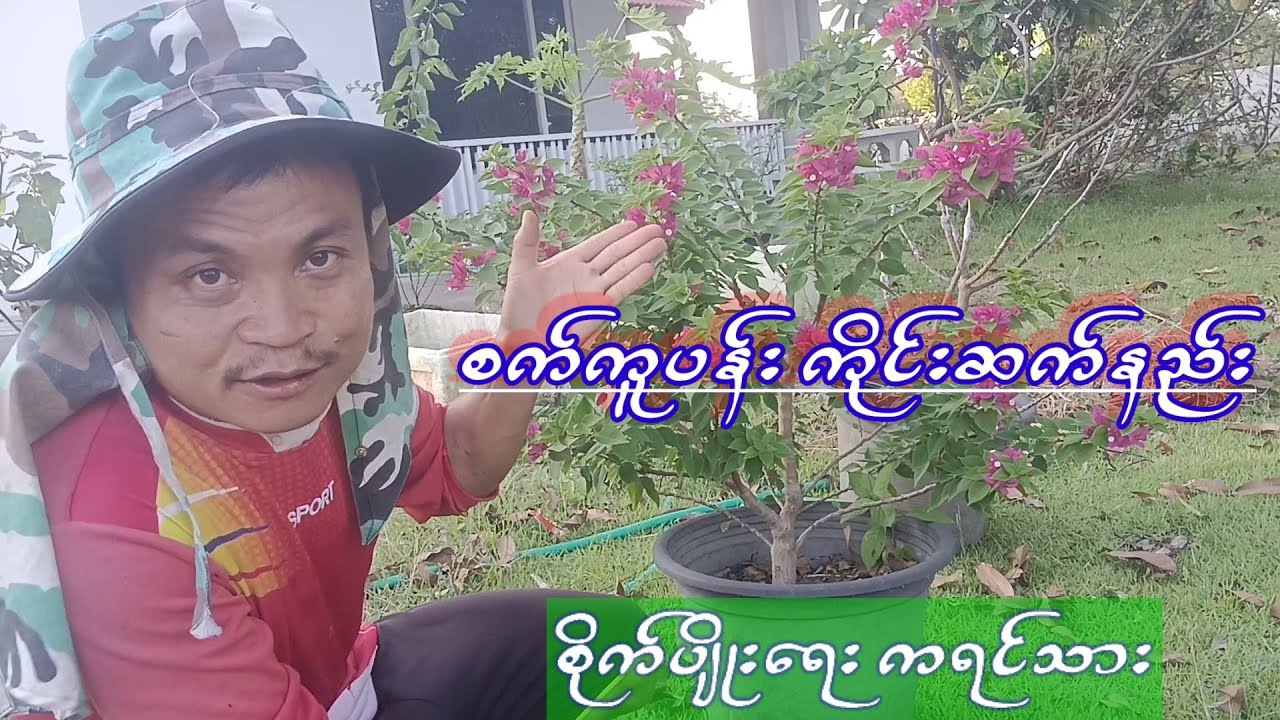 agriculture စက်ကူပန်းကိုင်းဆက်နည်း စိတ်ဝင်စားရင်ဝင်ကြည့်လိုက်ပါ စိုက်ပျိုးရေးကရင်သား