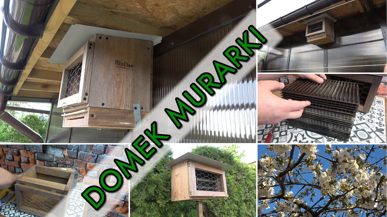 Domek dla murarek.