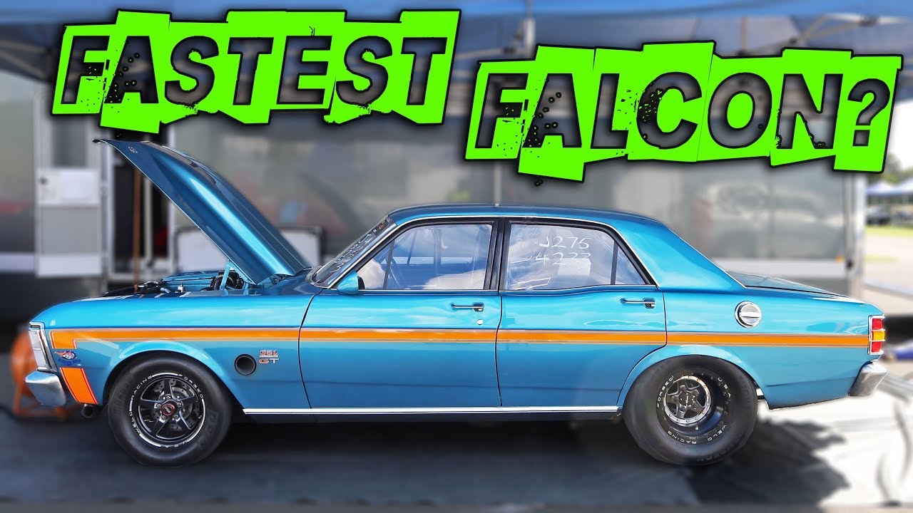 Worlds Fastest Falcon? - Nearly 200mph!