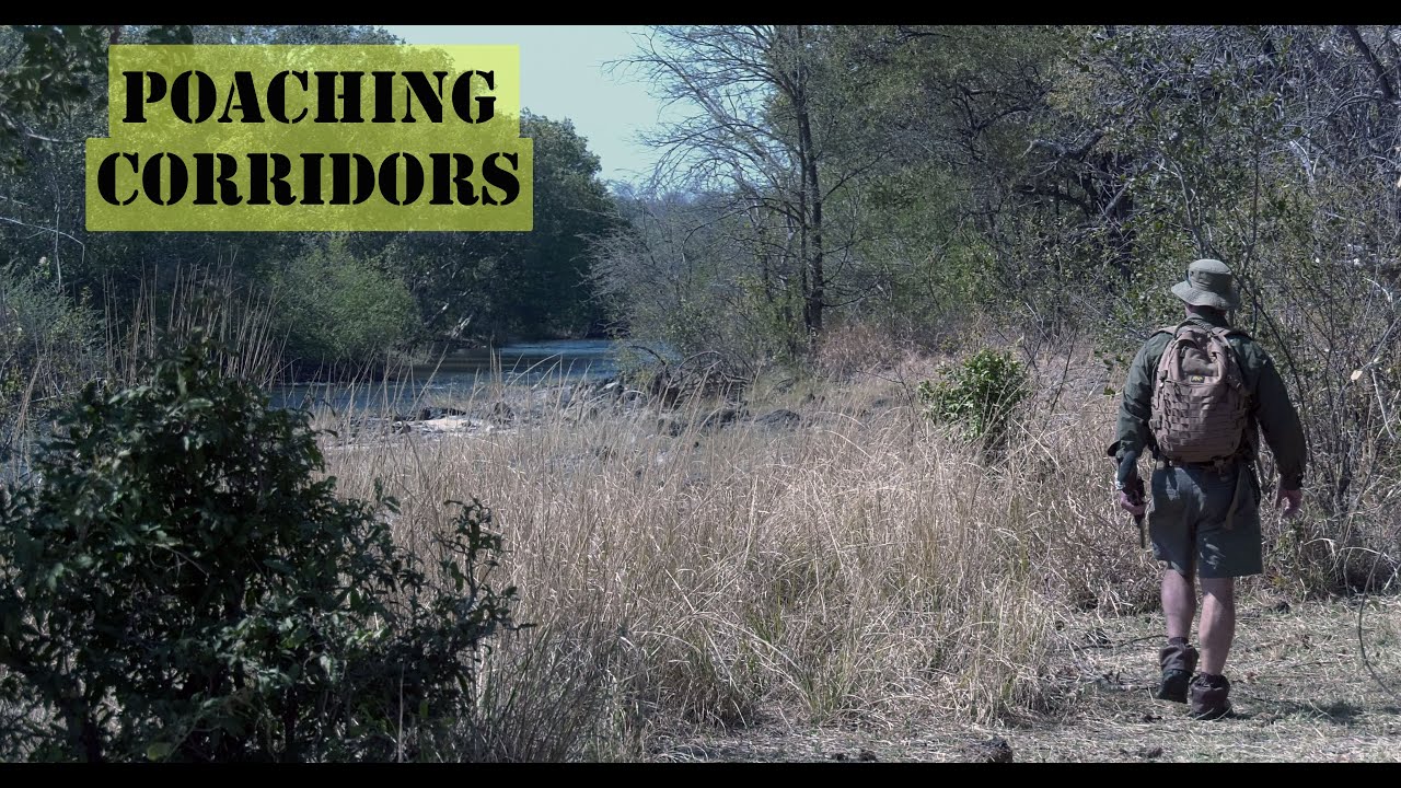 Guides Against Poaching: Poaching Corridors