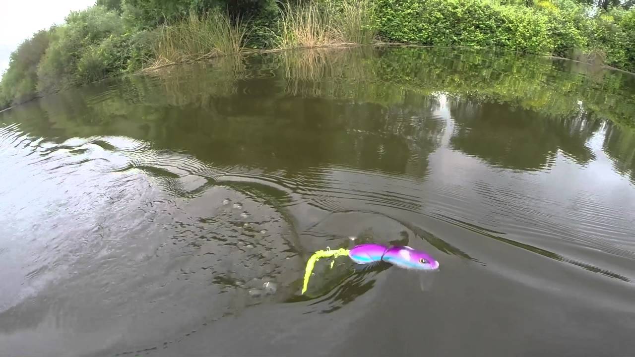 CA Delta Bass Fishing Top Water/Wake (LiveTarget Mouse/Spro BBZ-1 Rat) With John