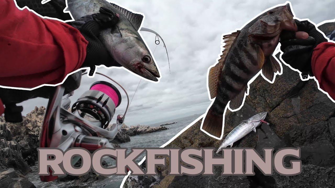 Pesca en roca, ROCKFISHING en Playa Chacaya ll REGION - CHILE