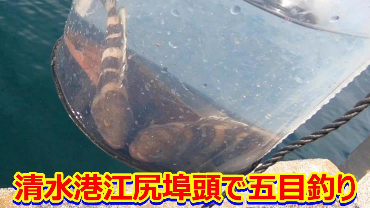 ♯ 102　 清水港江尻埠頭で短時間にチョイ投げ釣り！