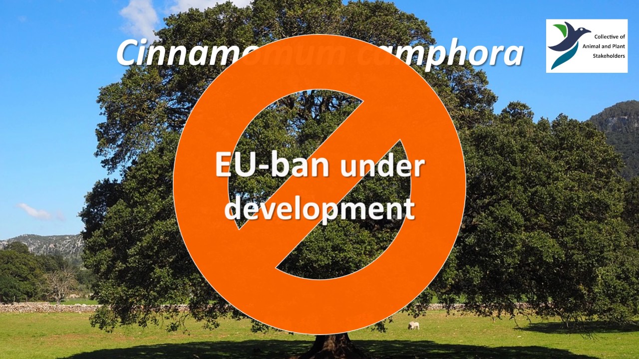 Unionlist of invasive alien species (about to be) banned plants