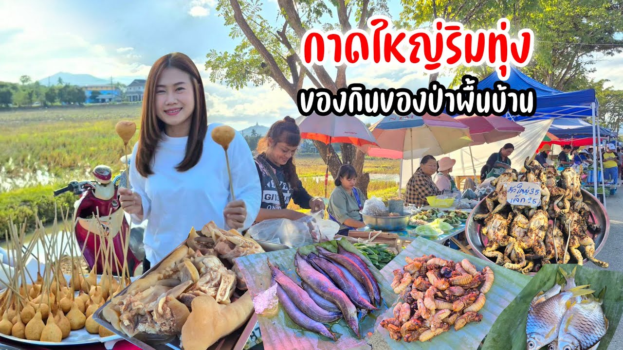 กาดชุมชนยลวิถี เวียงกาหลง ด้วงจั๊กจั่น ปลานา กบนา ควายย่างของกินเหนือๆ ผักปลอดสาร