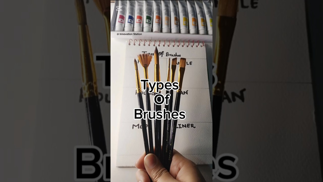 types of painting brushes/uses of different brushes in painting