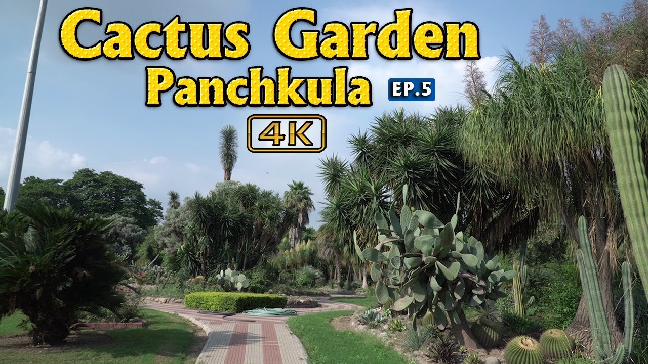 Cactus Garden Panchkula | Places to visit near Chandigarh | EP5 |pack4yatra