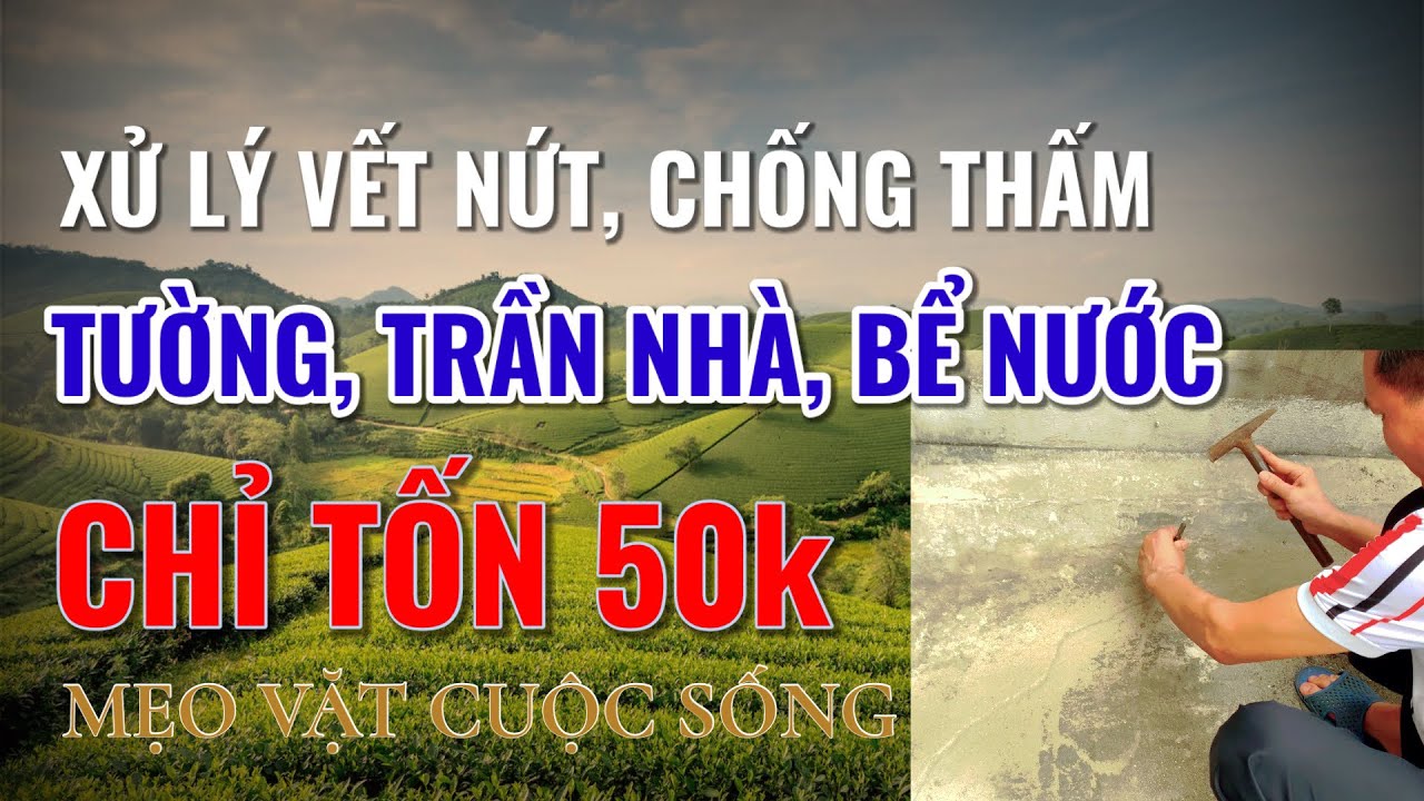 Life Tips | Mẹo Vặt Cuộc Sống - Xử lý vết nứt, chống thấm tường, trần nhà, bể nước - chỉ tốn 50k.
