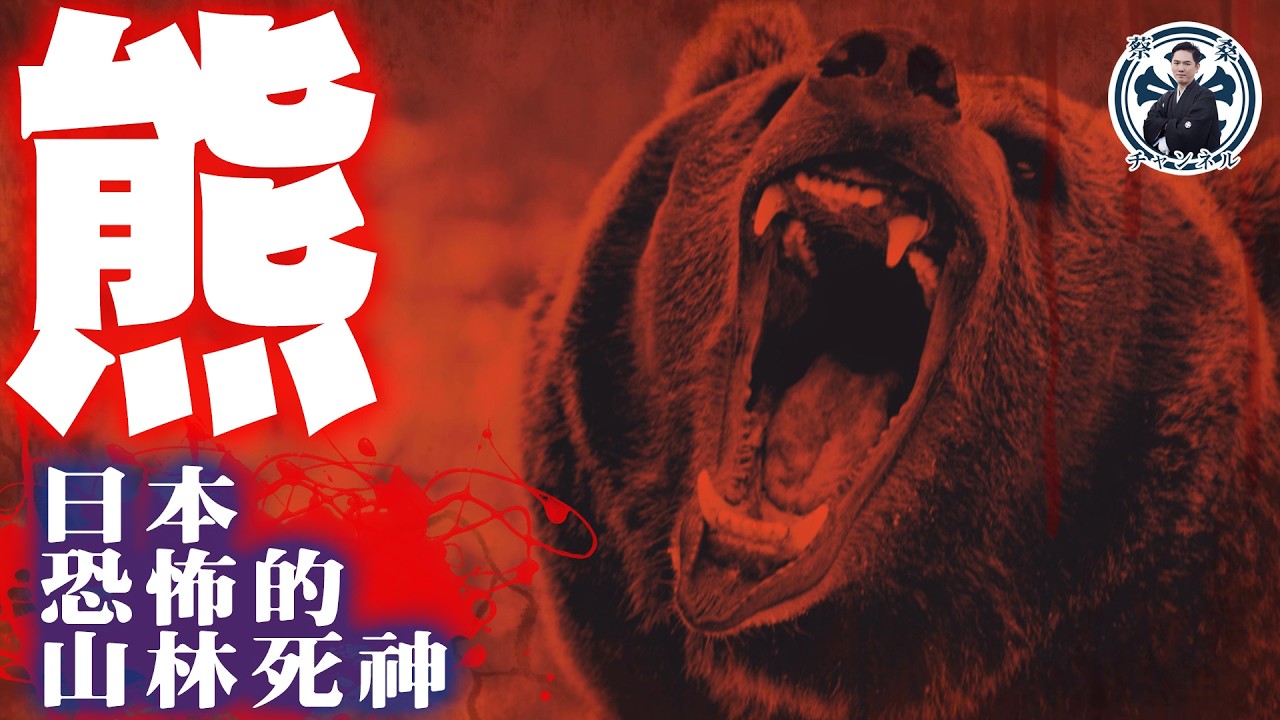 日本熊熊危機！遇到熊該怎麼辦？怎麼今年這麼多熊出沒注意？！
