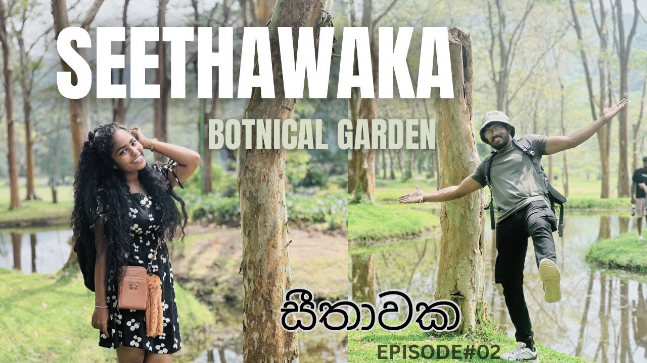 කොලපාට ලෝකෙක අතරමං වෙමුද? සීතාවක දවසක්. 🌿✨#sethawaka