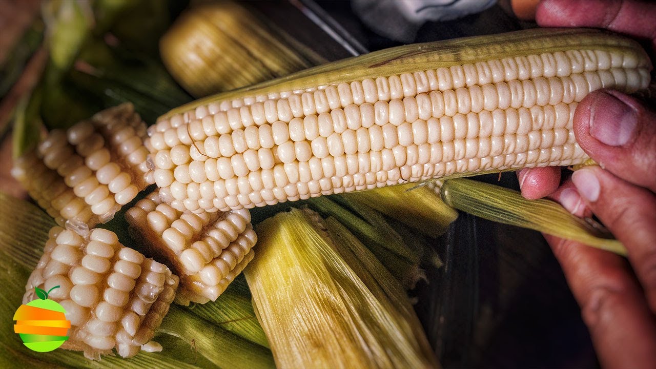 ¿Cómo cocer elotes fácilmente para que queden tiernos y deliciosos?