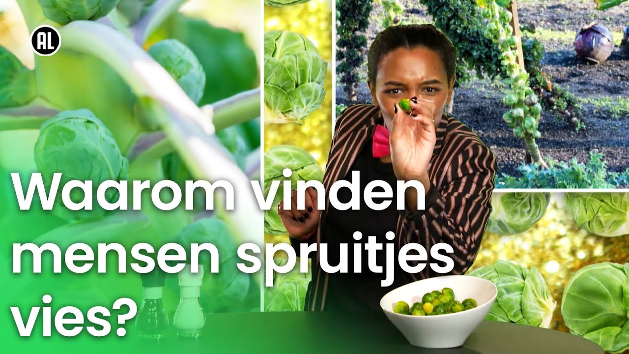 Waarom vinden veel mensen spruitjes vies? | Waarom? Daarom!