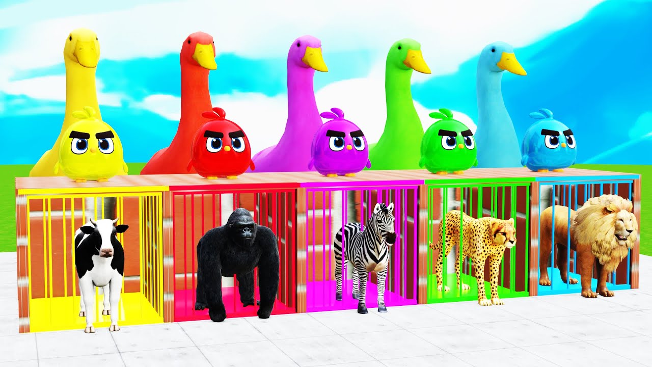 Guess The Right Key Challenge With Cow Gorilla Tiger Elephant Dinosaur Animal Crossing Fountain