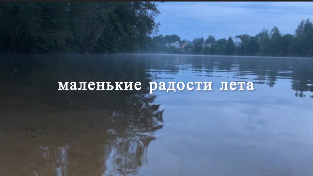 летние каникулы | походы по врачам | еда | концерт Олега Майами 