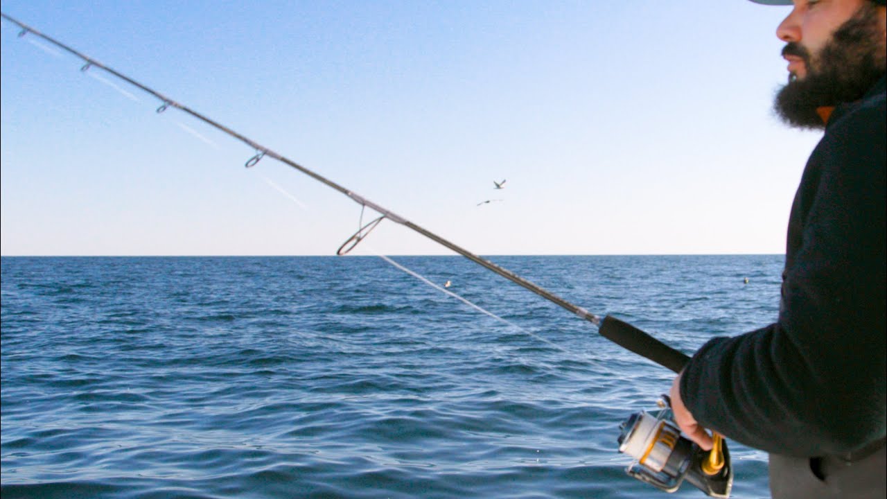 Trevala B Rod from Shimano | Field Test Favorite