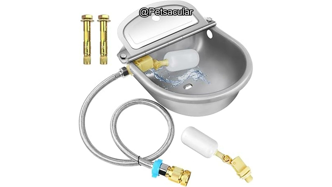 Automatic Animal Drinking Water Bowl Review: Efficient, Durable, but Is It Worth It?
