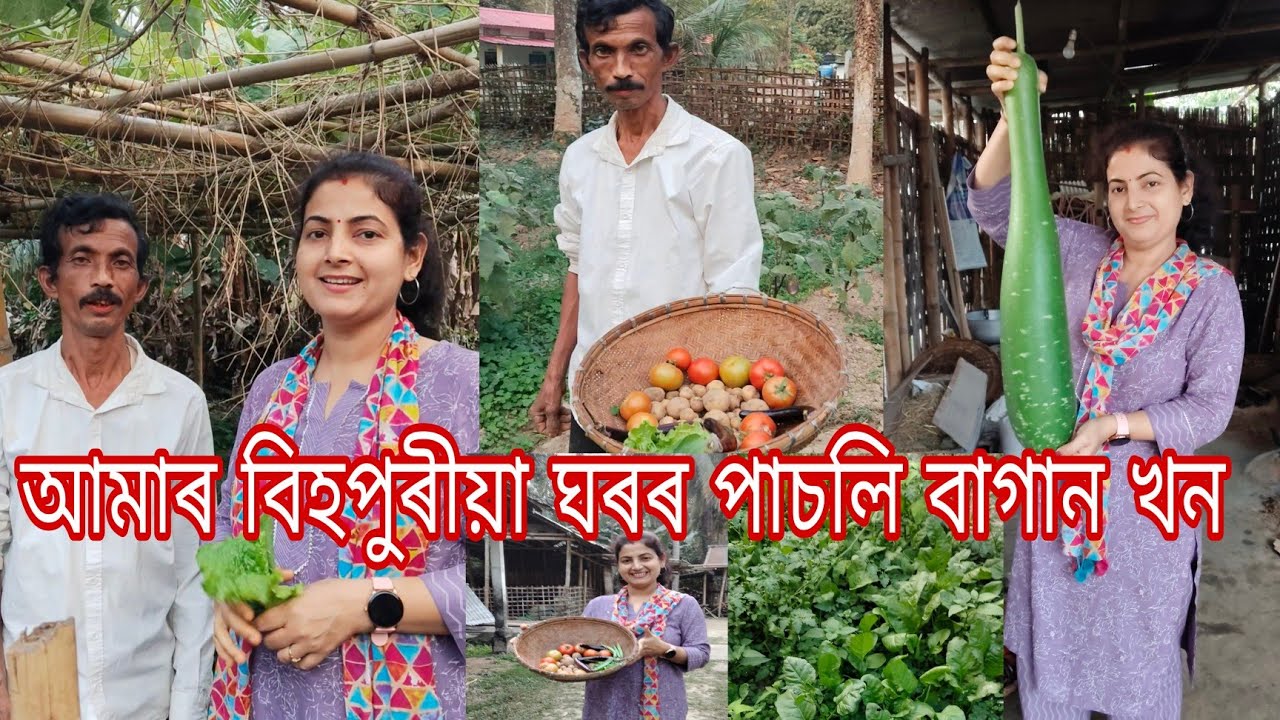 Vegetable garden|আমাৰ বিহপুৰীয়া ঘৰৰ পাচলি বাগান খন‌।চালে চাই থাকিবলৈ মন যোৱা। কেশ দাই কৰা খেতি।