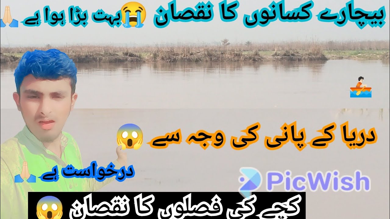 Bichhade kisanon ka fasal ka bahut bada nuksan 🙏🏻 امام سے گزارش ہے ا😭 سیلاب کے پانی کی وجہ😥
