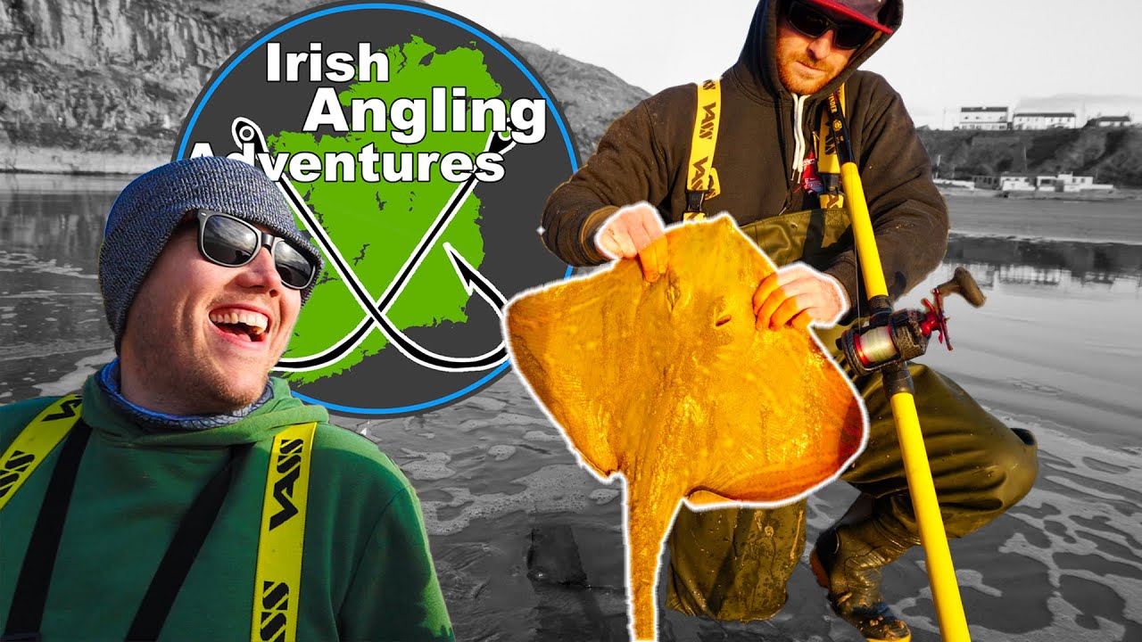 PAINTED RAY | Winter Fishing with Irish Angling Adventures