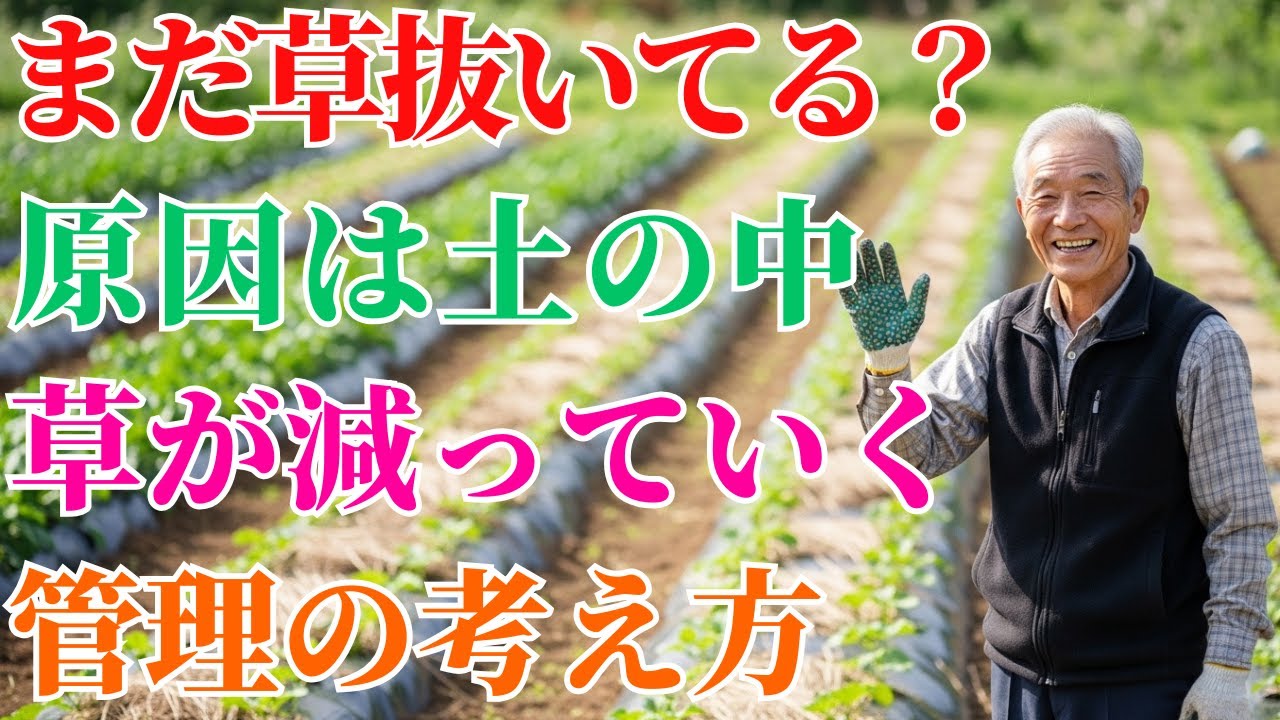 【雑草対策】抜いても戻る本当の理由は“土の中”！シードバンクを減らして草取りを終わらせる考え方。【家庭菜園】