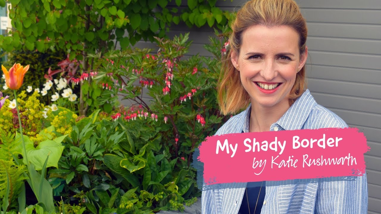 My Shady Border by Katie Rushworth