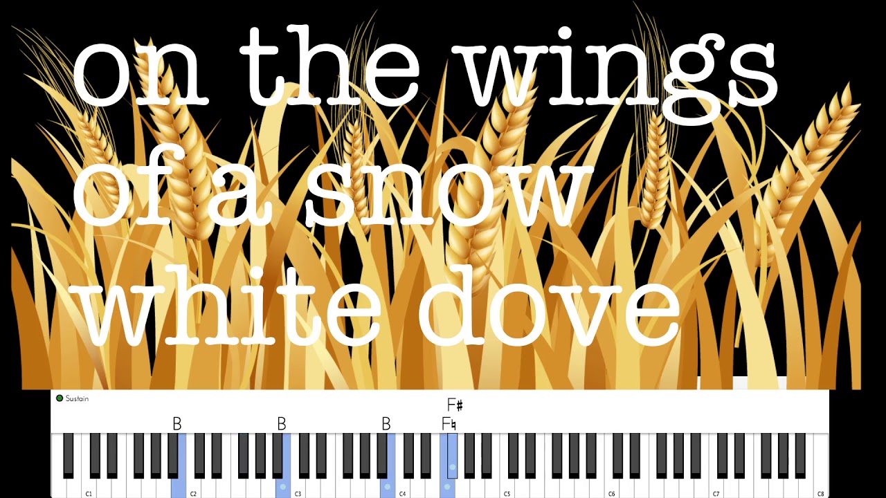 on the wings of a snow white dove