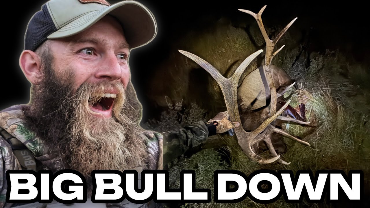 FIRST TIME ELK HUNTER ARROWS A GIANT BULL!! Colorado DIY ARCHERY ELK (Incredible Footage)