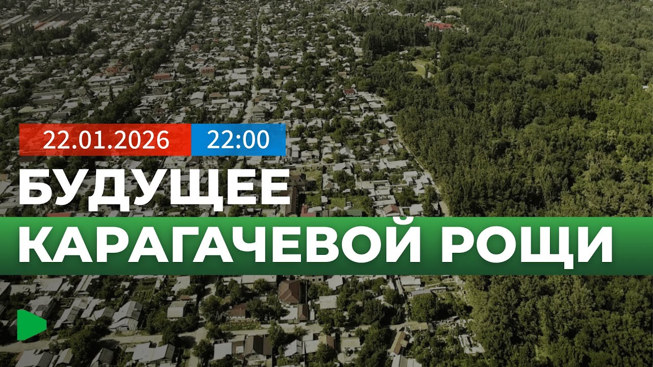 Участок в Карагачевой роще вернули Академии наук после приватизации | НОМАД ТВ