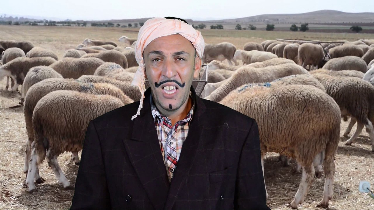 bouaza felmarche