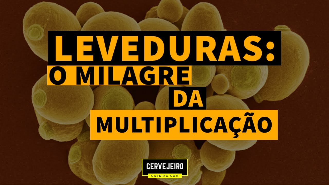 O MILAGRE DA MULTIPLICA&Ccedil;&Atilde;O DAS LEVEDURAS