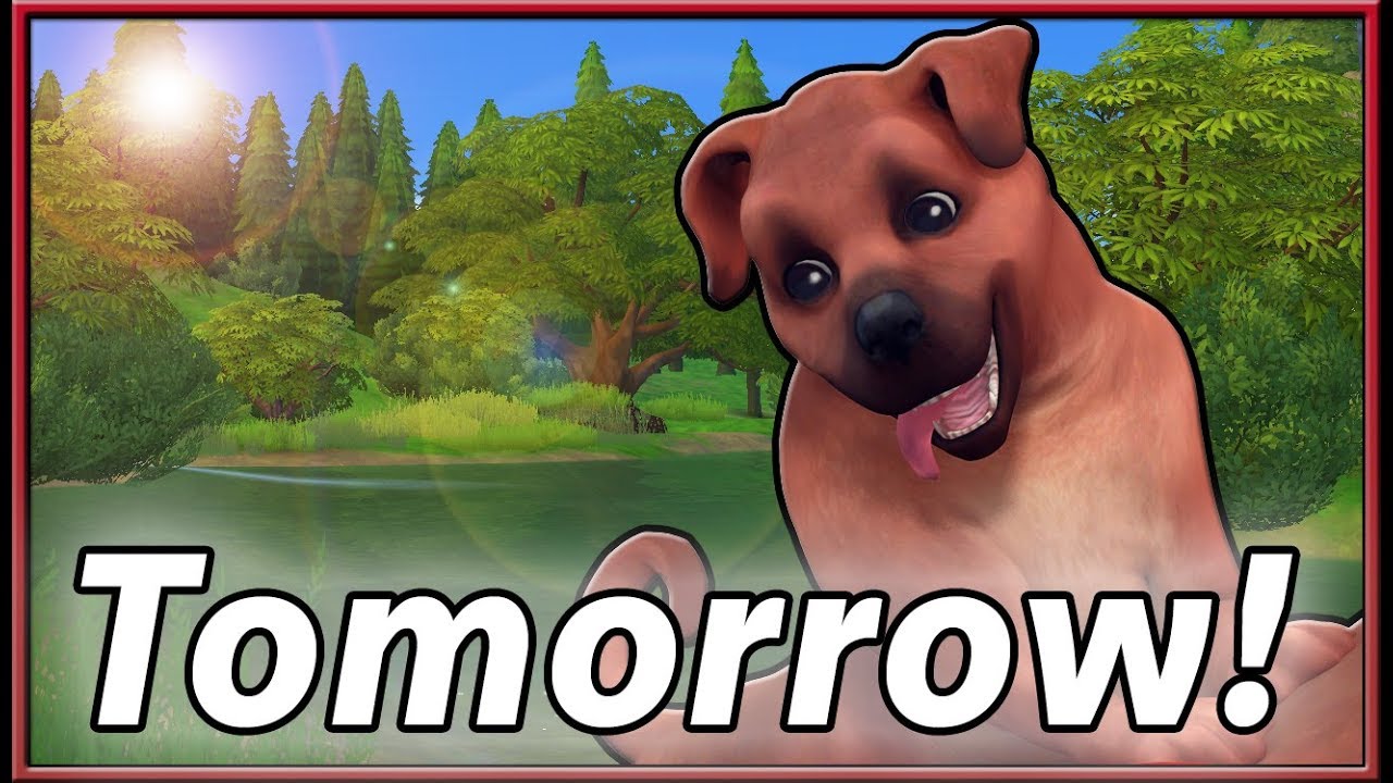 Create A Pet Walkthroughs Tomorrow! | The Sims 4: Cats & Dogs