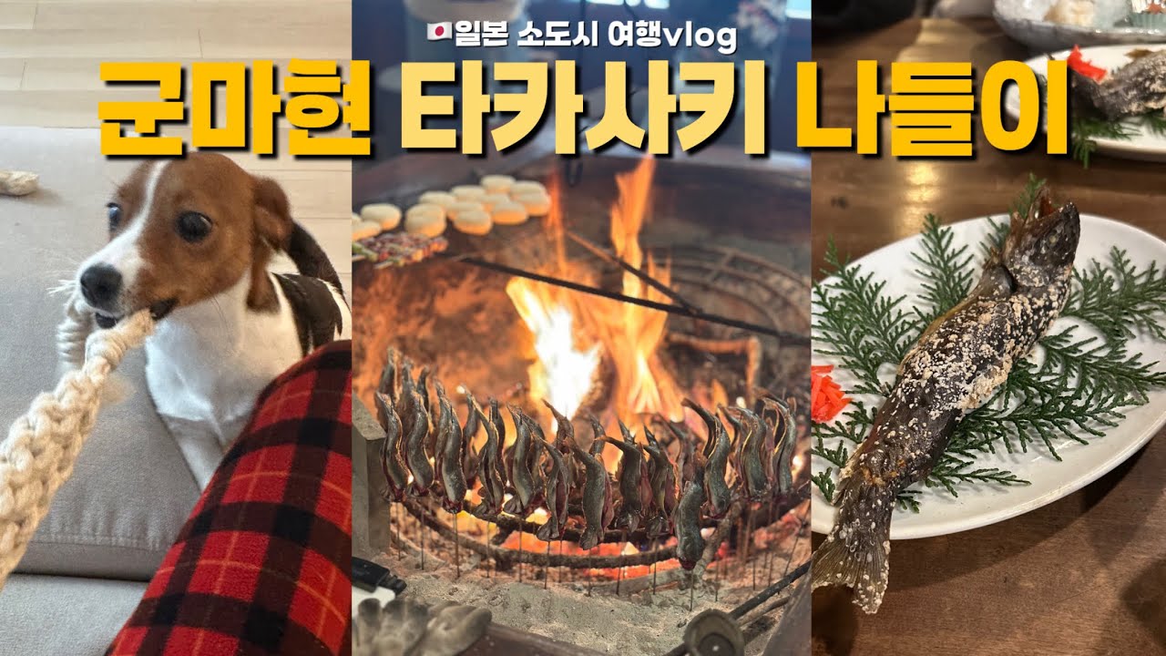 🇯🇵한일부부 집들이&잭 러셀 테리어이랑 노는 일본 소도시 브이로그 (다루마절, 숯불구이 맛집, 하루나신사)