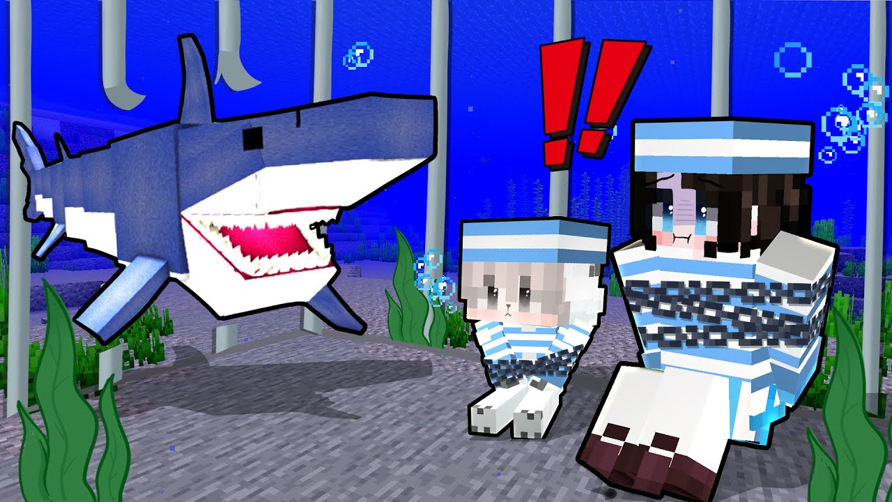 Mèo Simmy Và Bé Mưa Thử Thách Vược Ngục Nhà Tù Dưới Nước Trong Minecraft