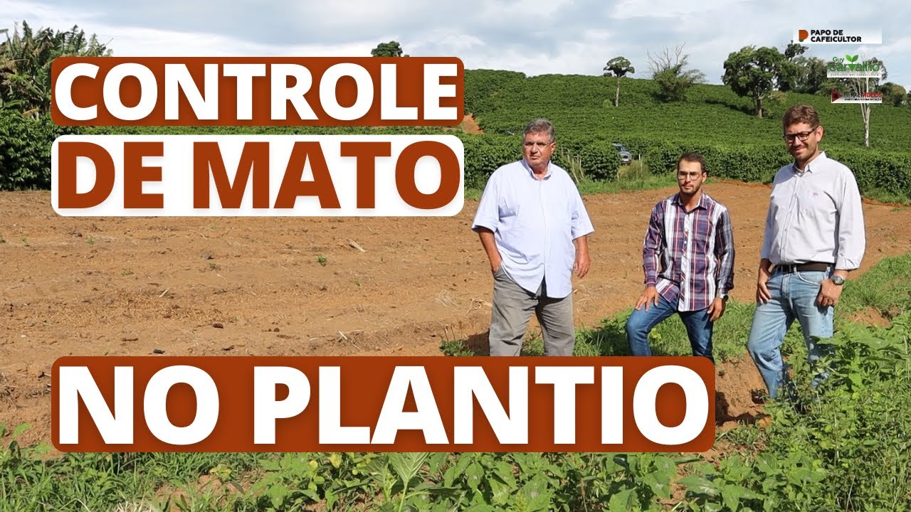 Controle de mato no plantio